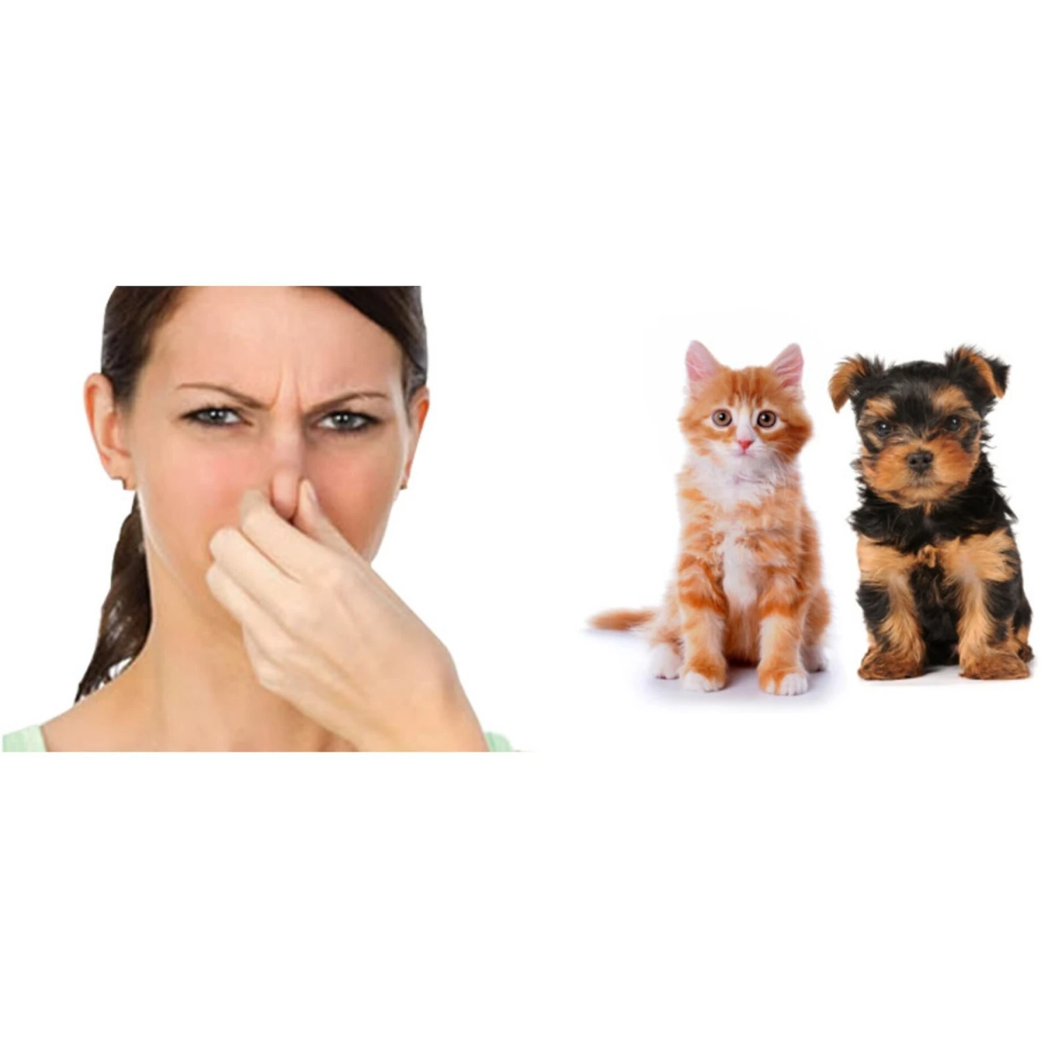 Room Shocker Quick Release Odor Eliminating Vapor - Image 3