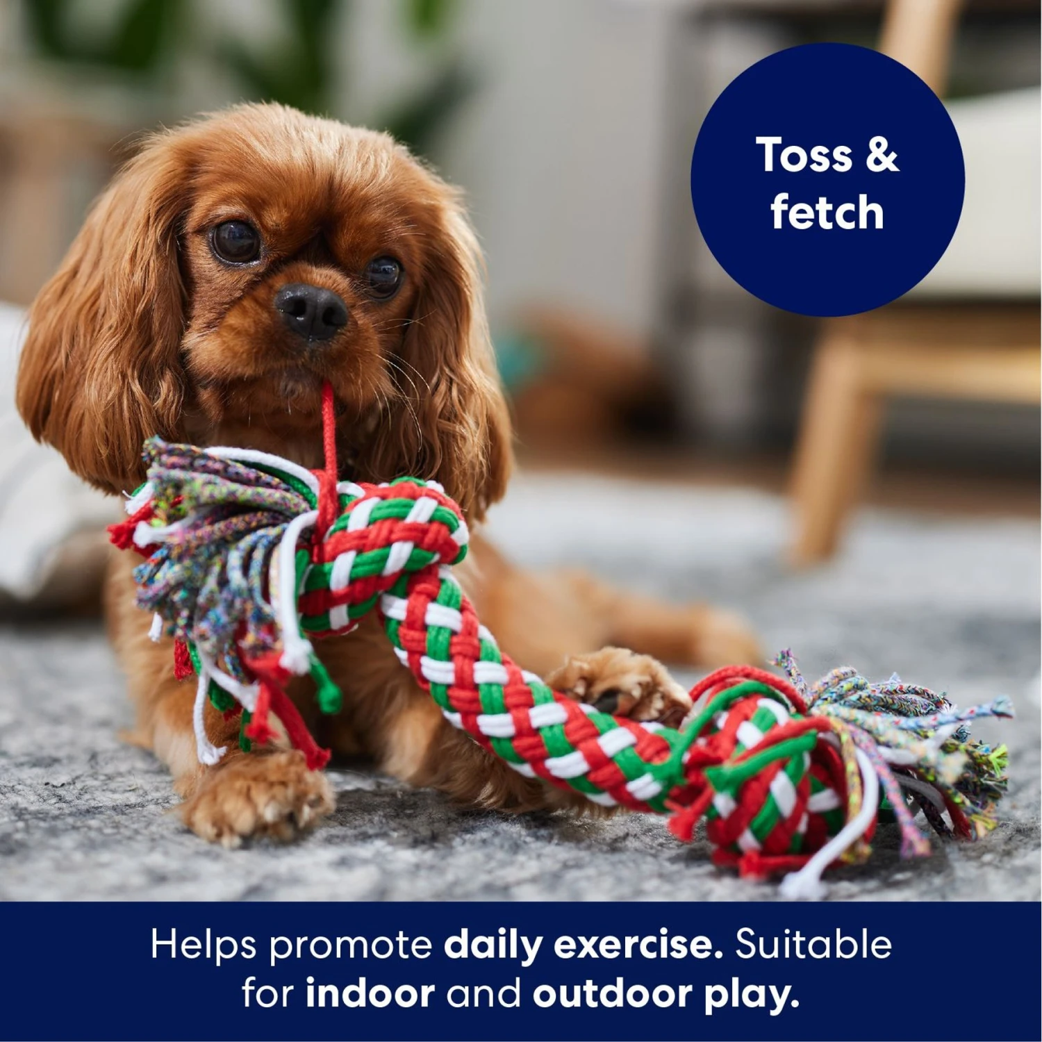 Frisco Double Knot Tri-Color Rope Fetch Dog Toy - Image 3