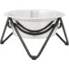 Frisco Triangle Iron Non-Skid Elevated Dog & Cat Bowl