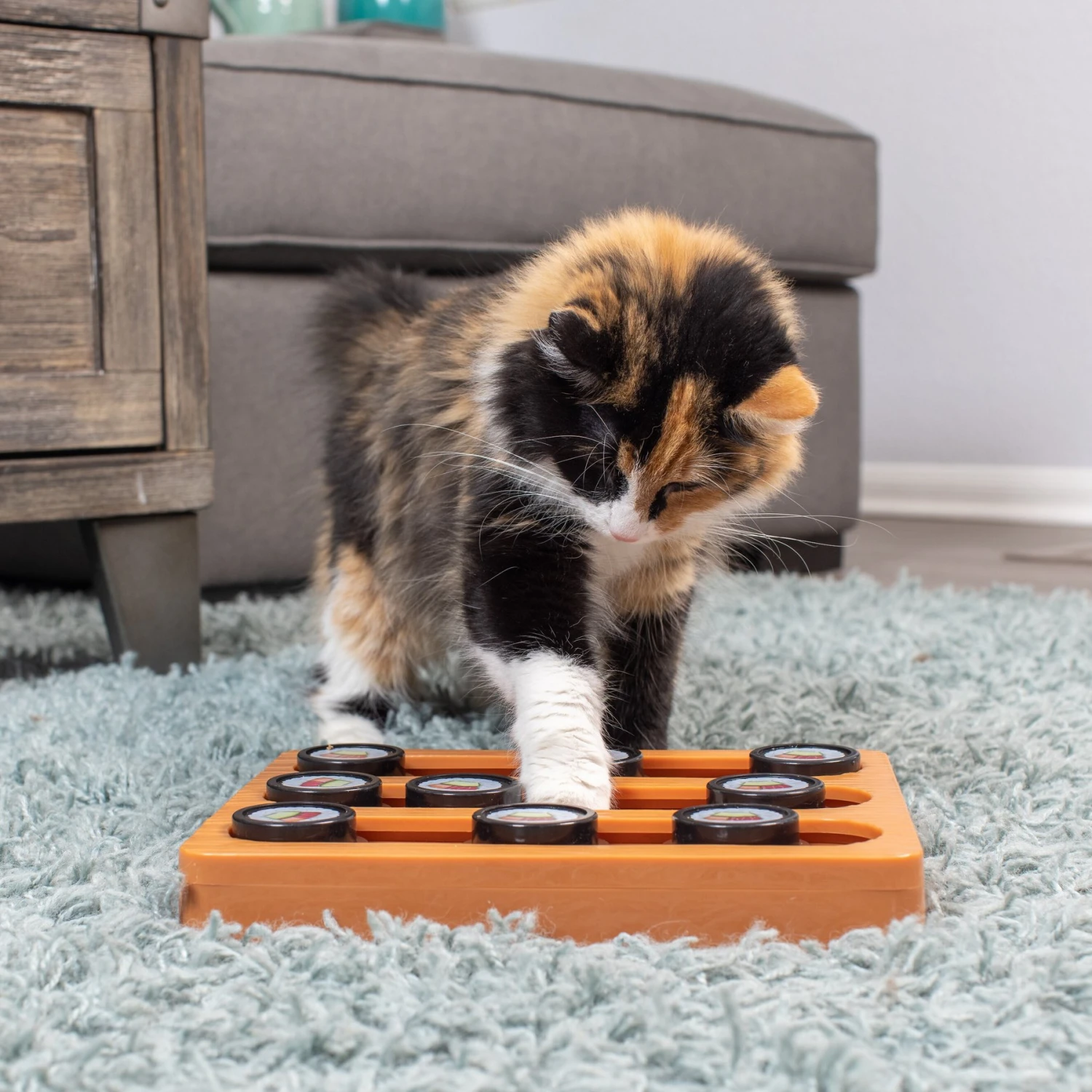 OurPets Sushi Treat Dispensing Puzzle Dog & Cat Toy - Image 5