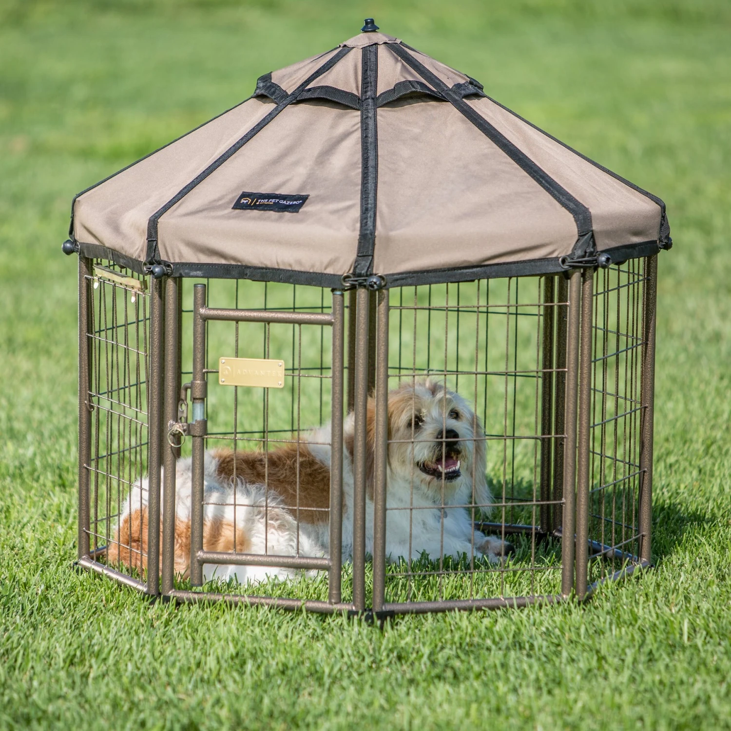 Win World International Pet Gazebo Dog Kennel - Image 3