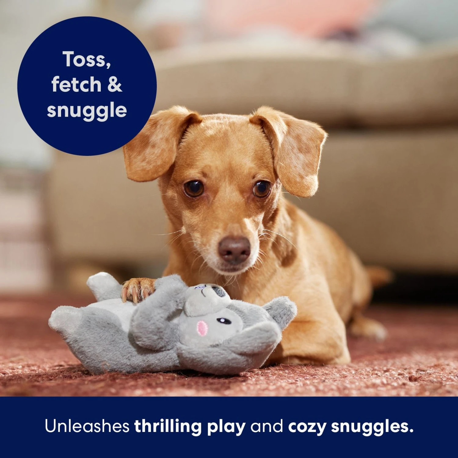 Frisco Camping Squirrel Plush Squeaky Dog Toy - Image 5