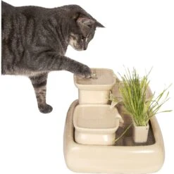 Miaustore Dog & Cat Ceramic Water Fountain, 115-oz