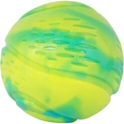 Petstages Grunt N Punt Squeaky Tennis Ball Dog Toy
