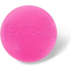 Planet Dog Squeak Ball Dog Toy