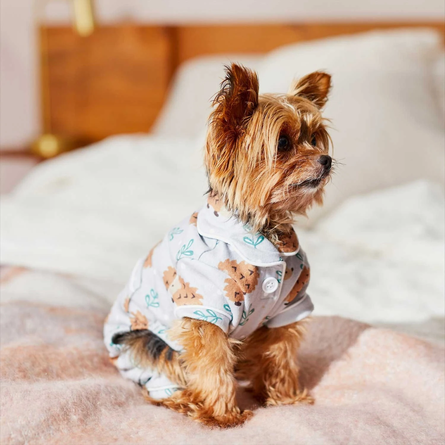 Wagatude Hedgehog Print Dog Pajamas - Image 4