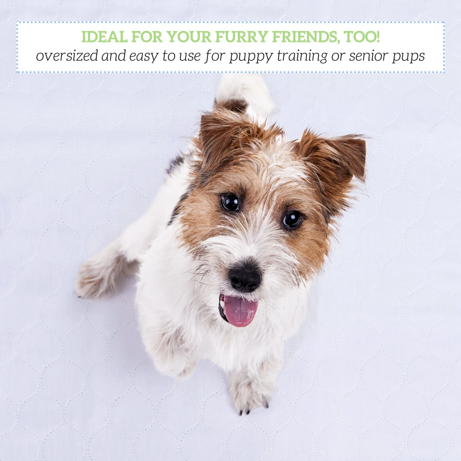 Green Lifestyle Reusable Dog Pee Pads - Image 4