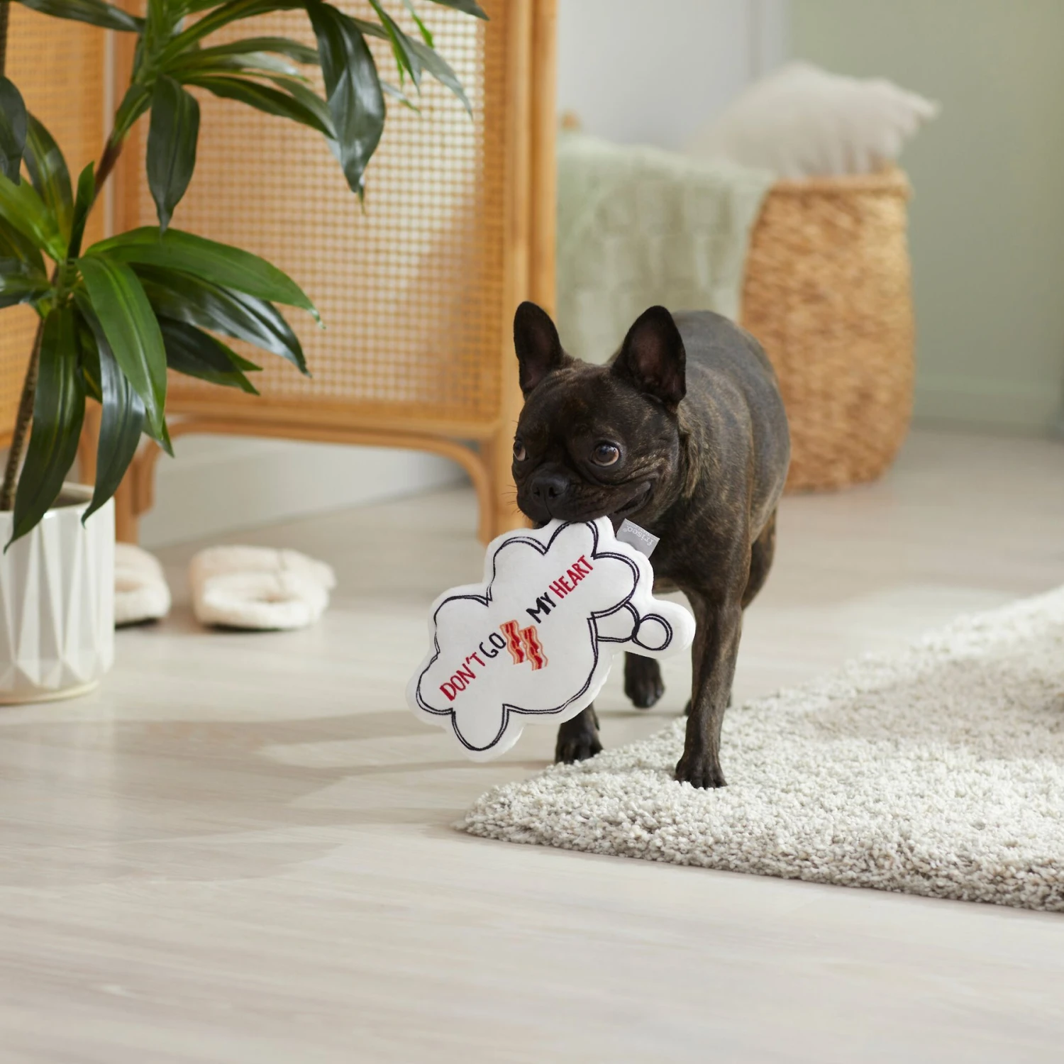 Frisco Brunch Word Bubble Plush Squeaky Dog Toy - Image 4