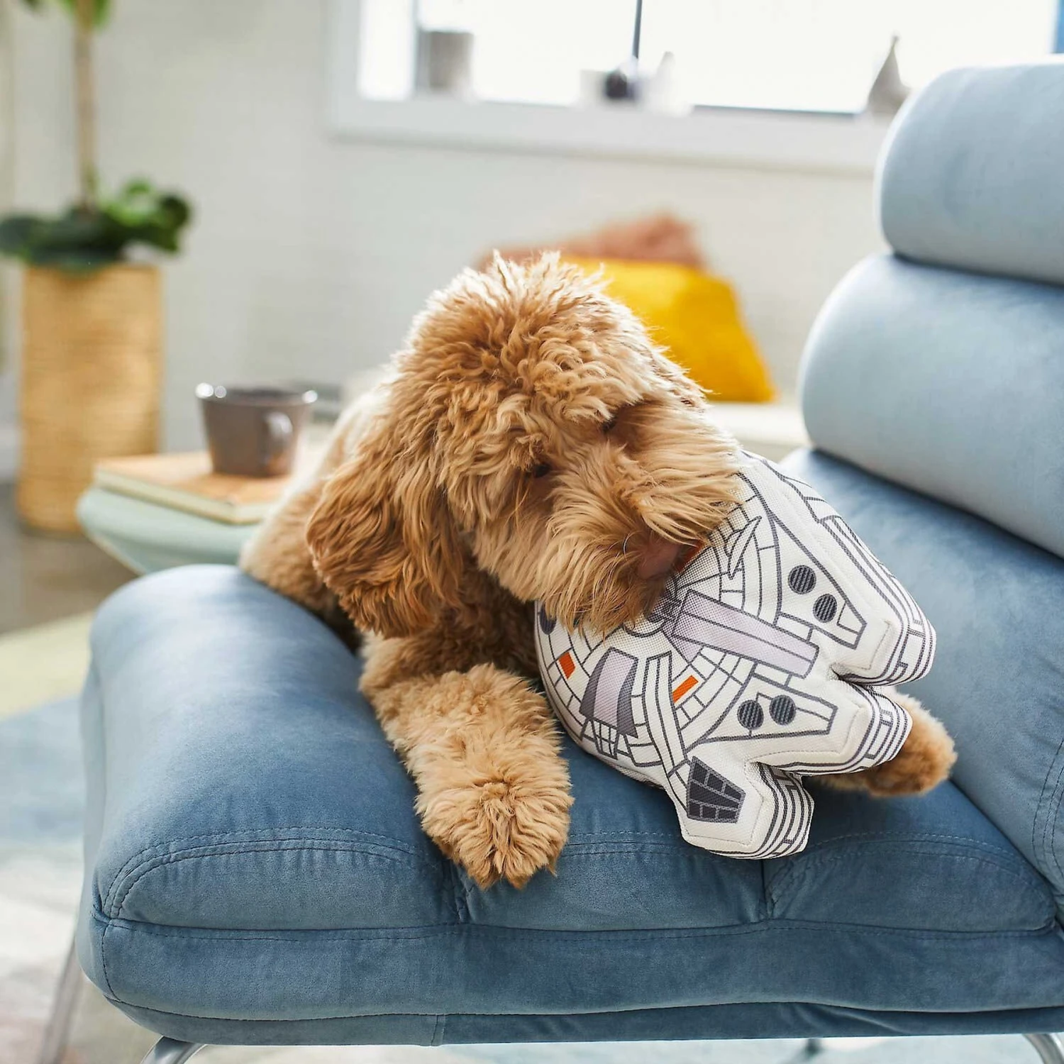 STAR WARS BB-8 Ballistic Nylon Plush Squeaky Dog Toy & STAR WARS MILLENNIUM FALCON Ballistic Nylon Plush Squeaky Dog Toy - Image 7