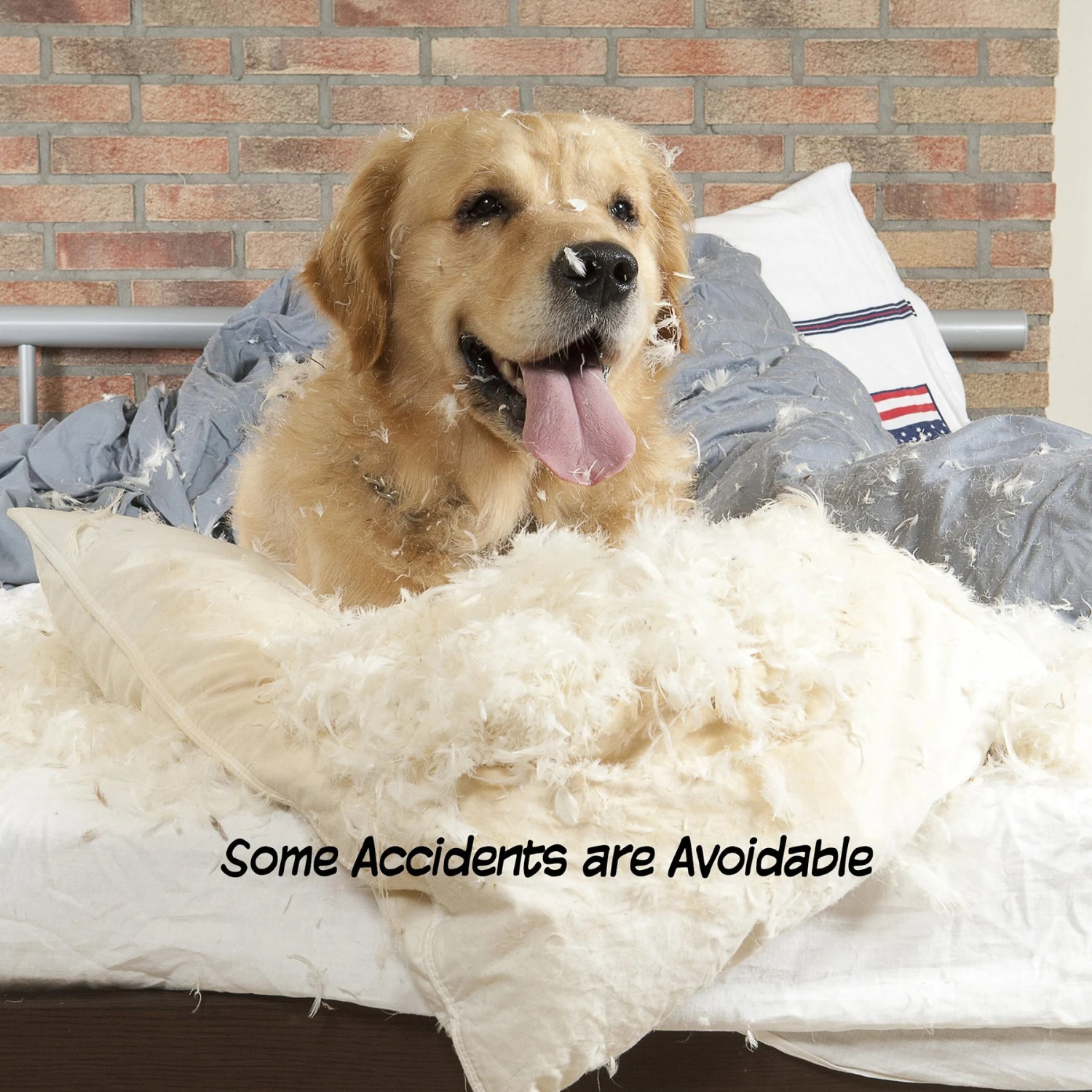 Pet Adobe 4-Panel Freestanding Dog & Cat Gate - Image 4