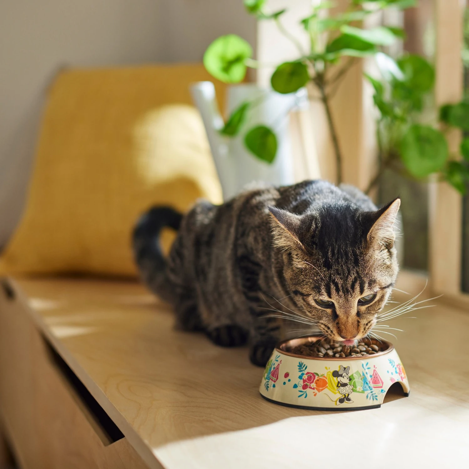 Disney Minnie Mouse Summer Bamboo Melamine Stainless Steel Dog & Cat Bowl - Image 4