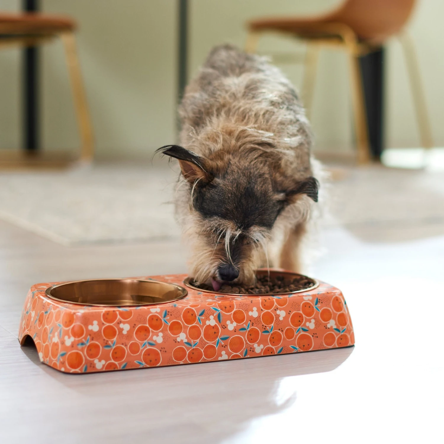 Disney Mickey Mouse Orange Bamboo Melamine Stainless Steel Double Dog & Cat Bowl - Image 3