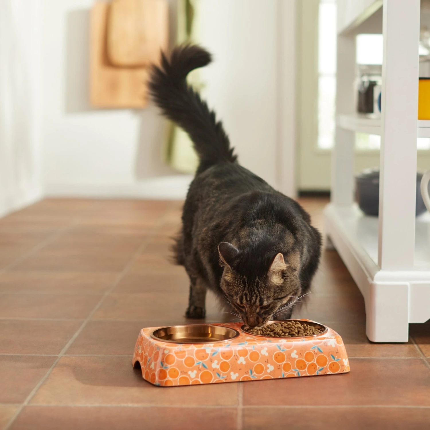 Disney Mickey Mouse Orange Bamboo Melamine Stainless Steel Double Dog & Cat Bowl - Image 4