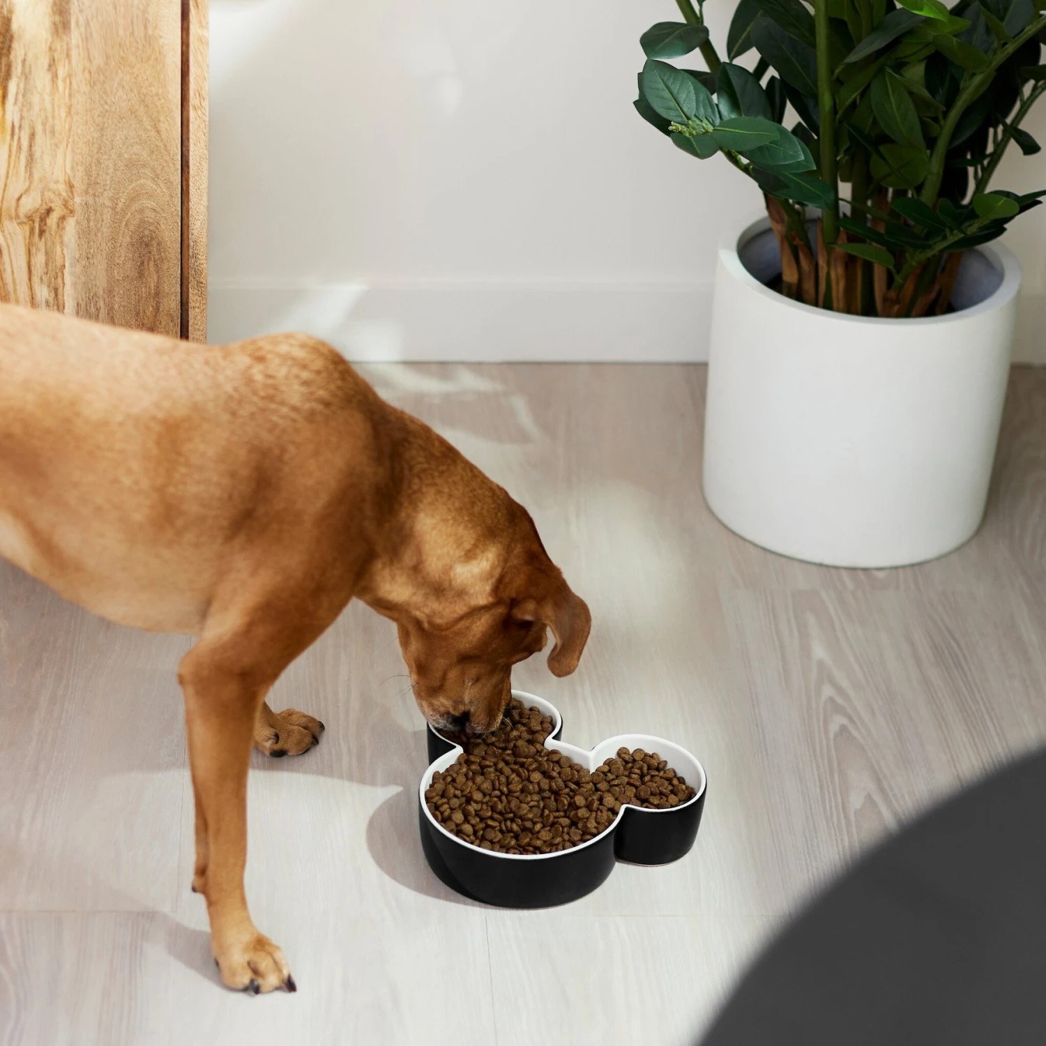 Disney Mickey Mouse Ceramic Dog & Cat Bowl - Image 3