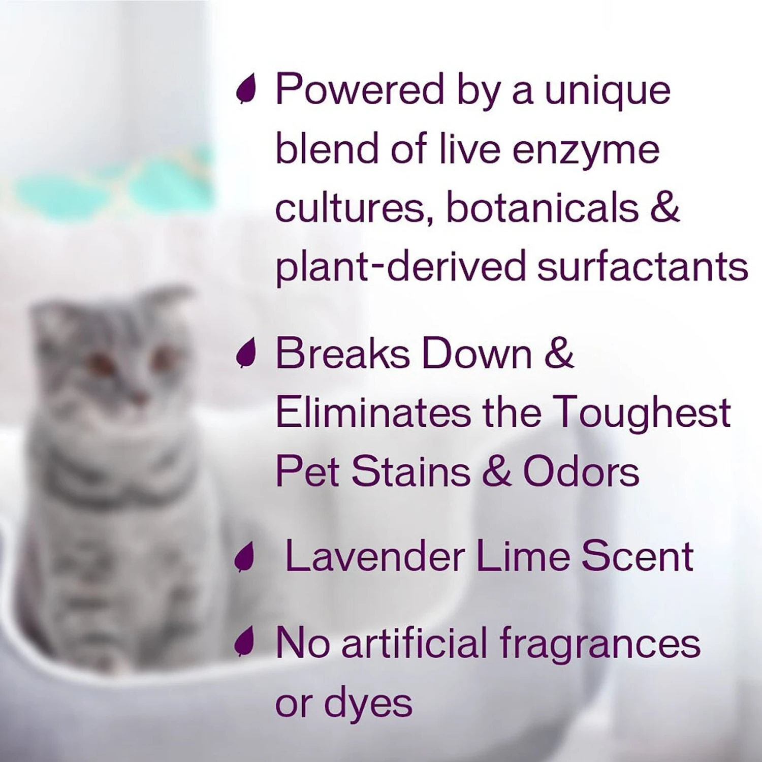 Biokleen Bac-Out Pet Stain & Odor Remover, 1-gal - Image 4