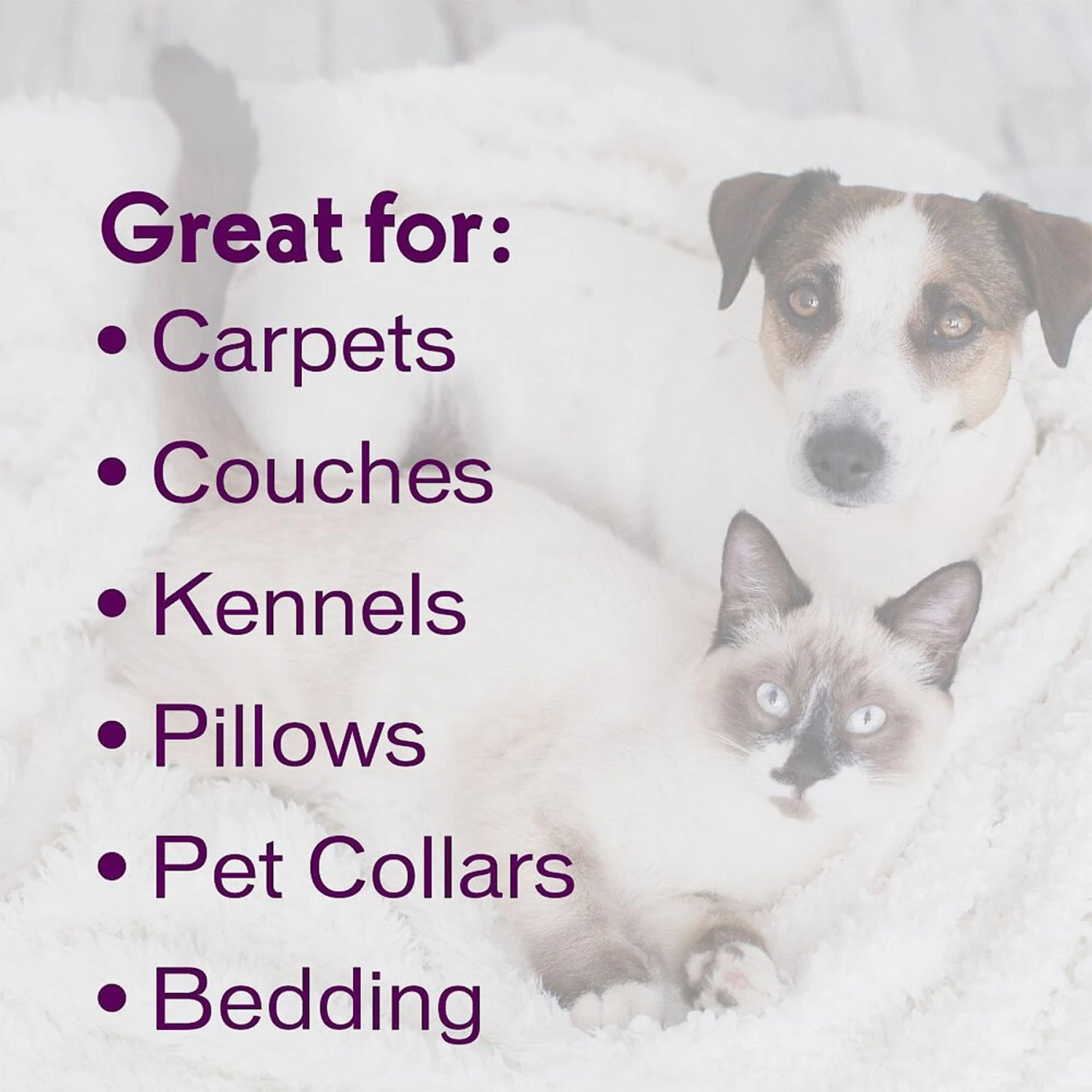 Biokleen Bac-Out Pet Stain & Odor Remover, 1-gal - Image 6