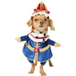 Frisco Front Walking Royal King Dog & Cat Costume