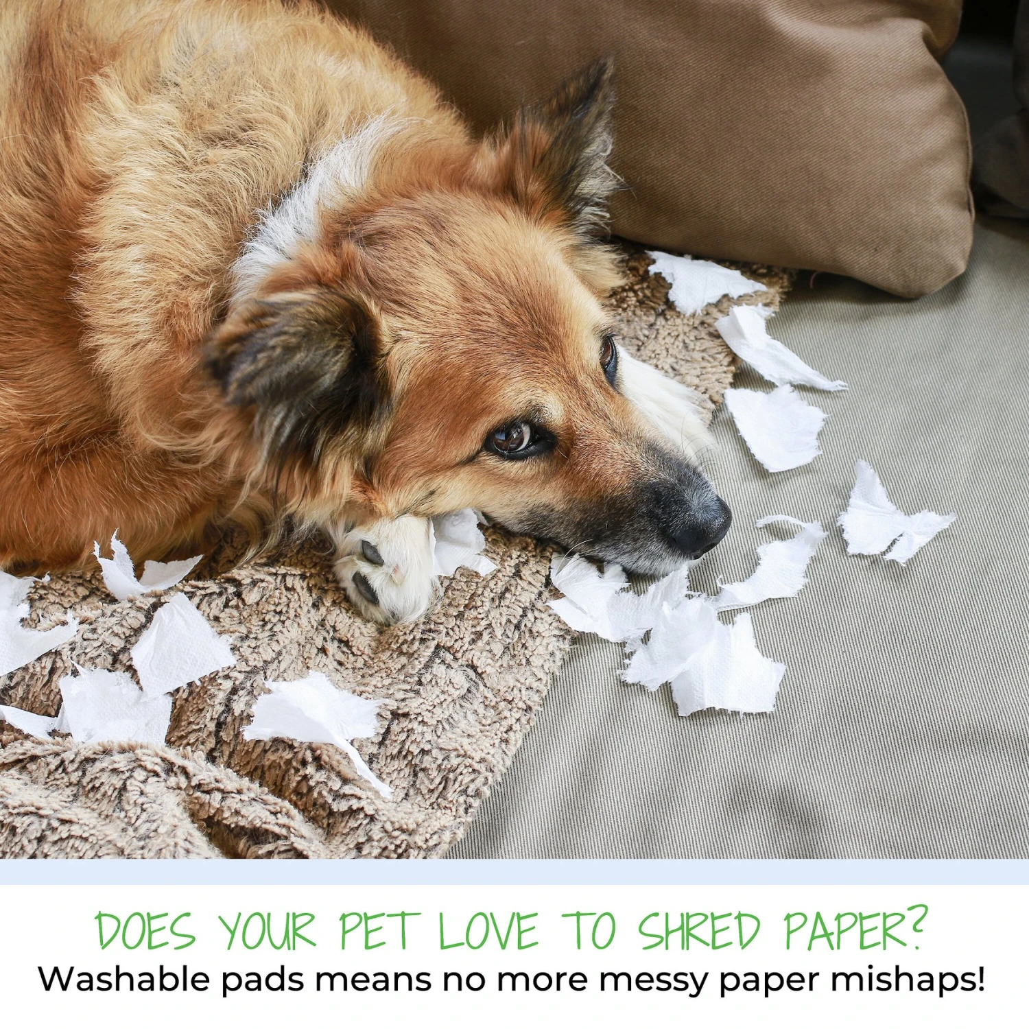 Green Lifestyle Printed Reusable Cat & Dog Pee Pads, Blue & White - Image 7