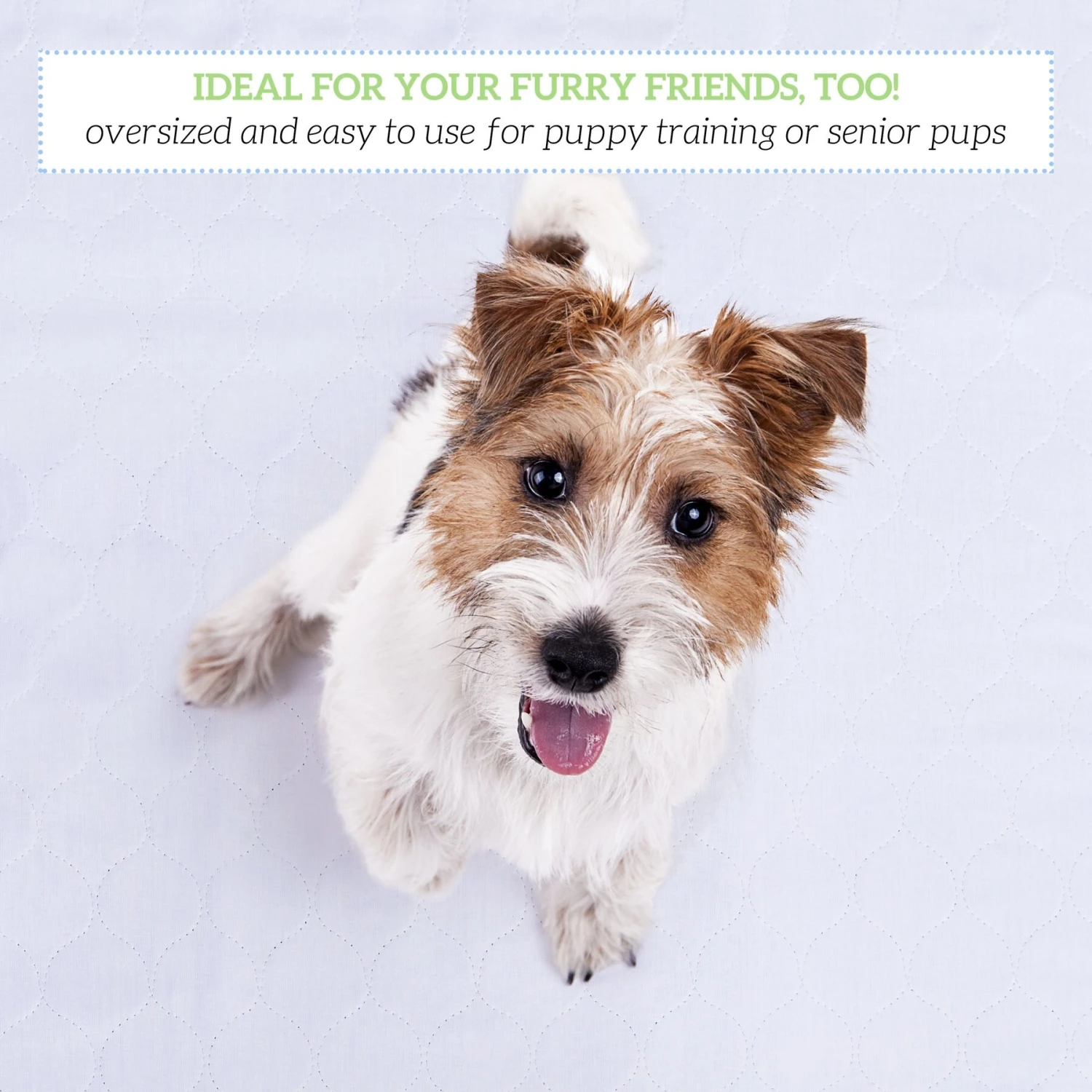 Green Lifestyle Blue Reusable Dog Pee Pads, 2-pack - Image 4