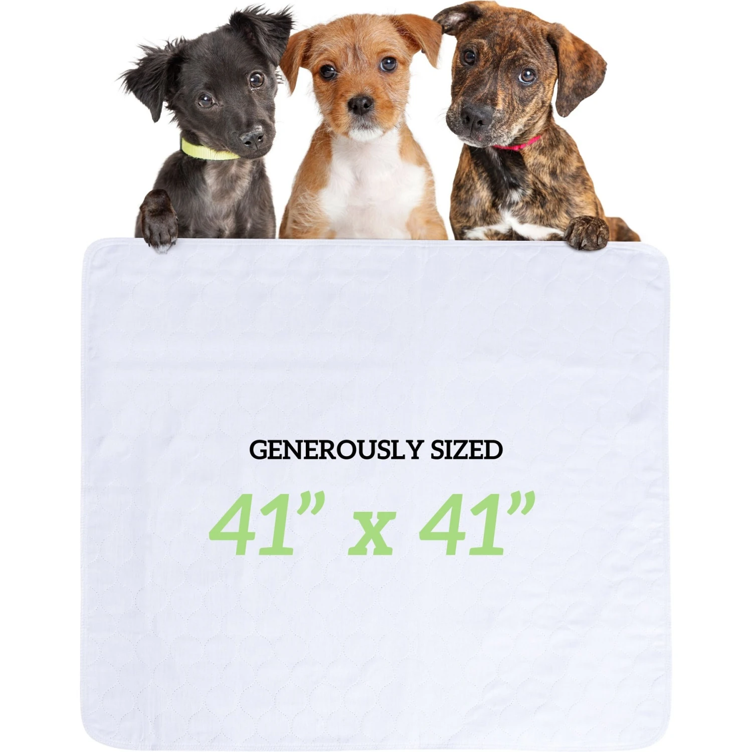 Green Lifestyle Blue Reusable Dog Pee Pads, 2-pack - Image 5