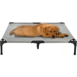 Pet Adobe Cot-Style Elevated Pet Bed