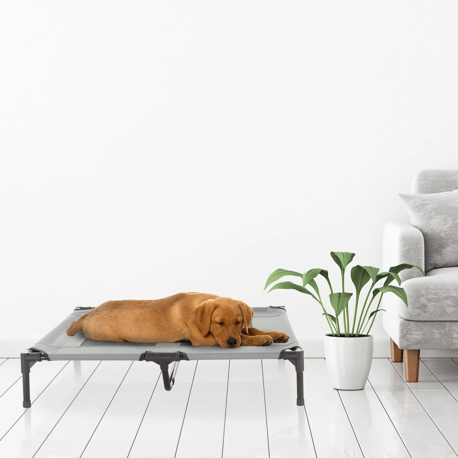 Pet Adobe Cot-Style Elevated Pet Bed - Image 7