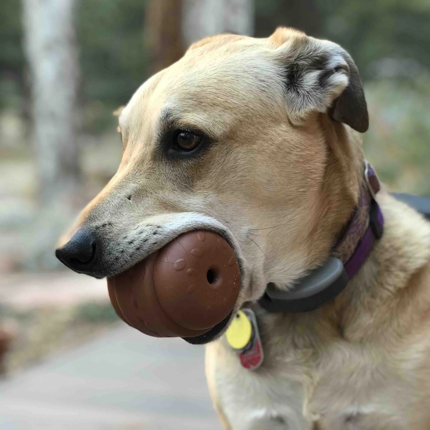 SodaPup Hamburger Rubber Treat Dispenser Dog Toy - Image 6