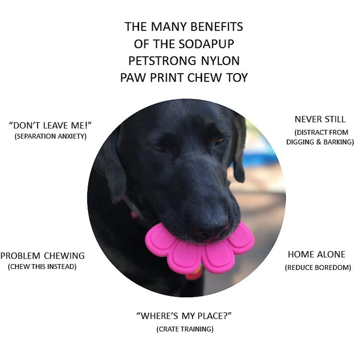 SodaPup Nylon Paw Print Chew Dog Toy - Image 3