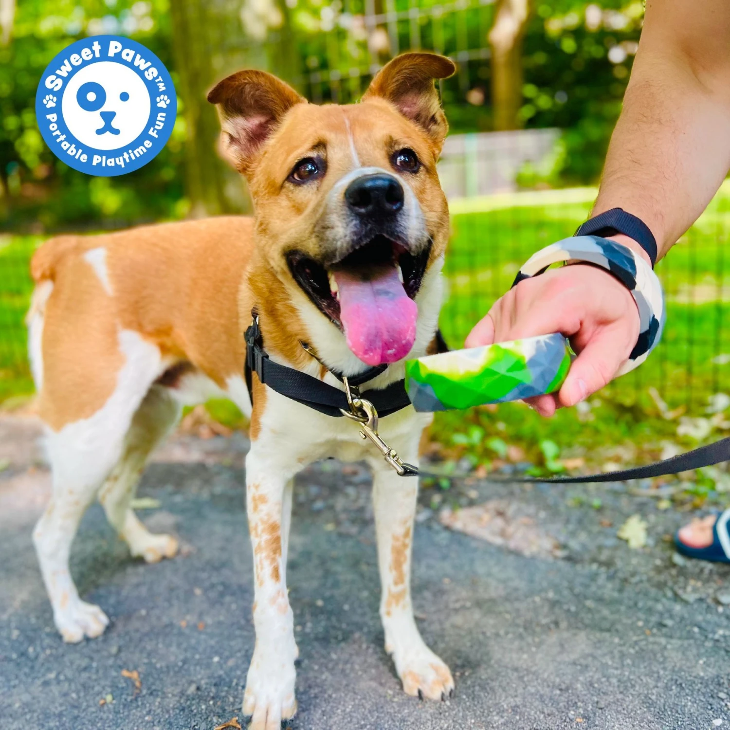 Sweet Paws Chunky Wearable Puppy Teether Stack Dog Toy, 2 Count - Image 8