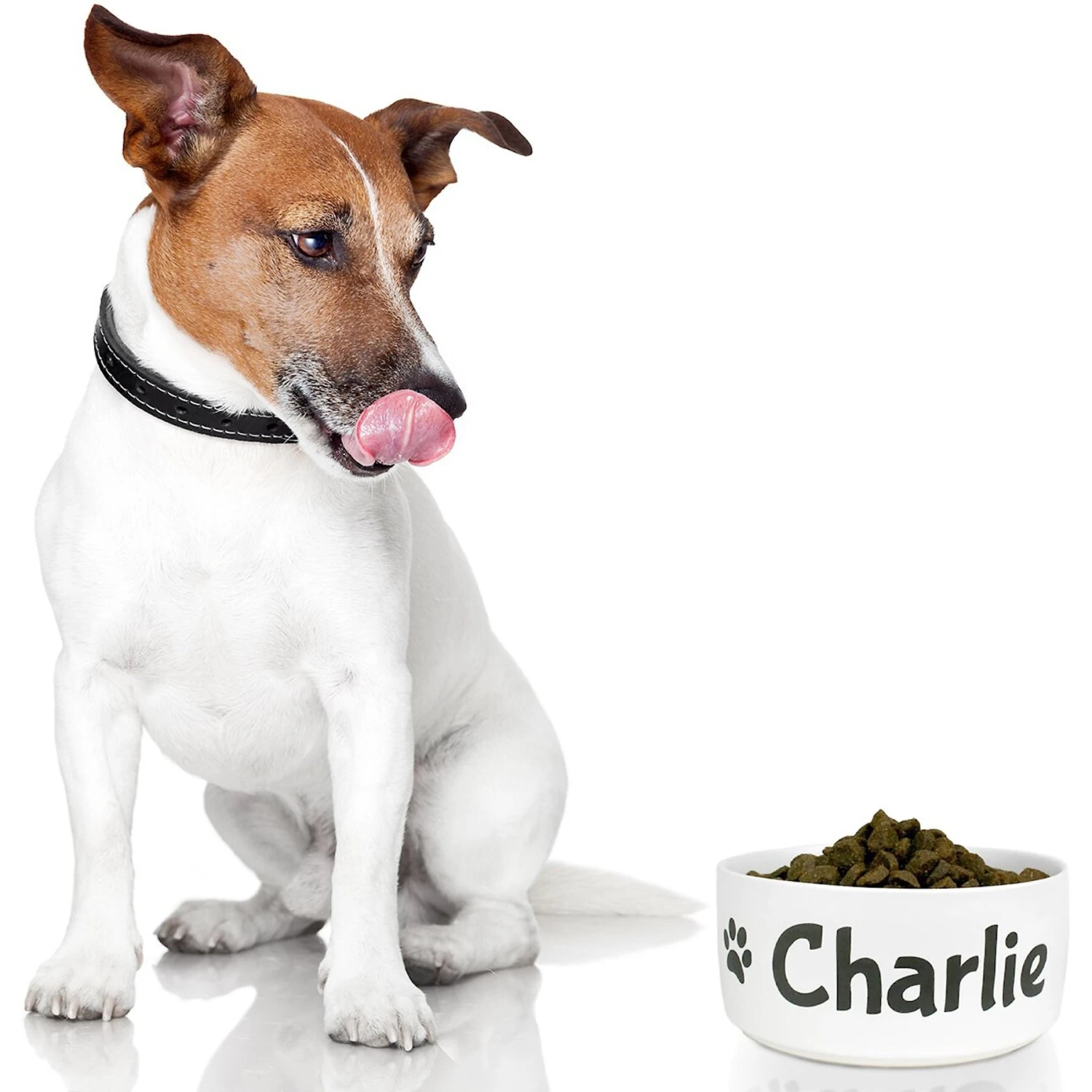 GoTags Personalized Dog Bowl, White - Image 2