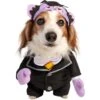 Pet Krewe Sesame Street The Count Dog Costume
