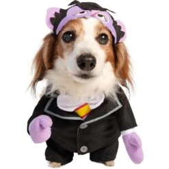 Pet Krewe Sesame Street The Count Dog Costume