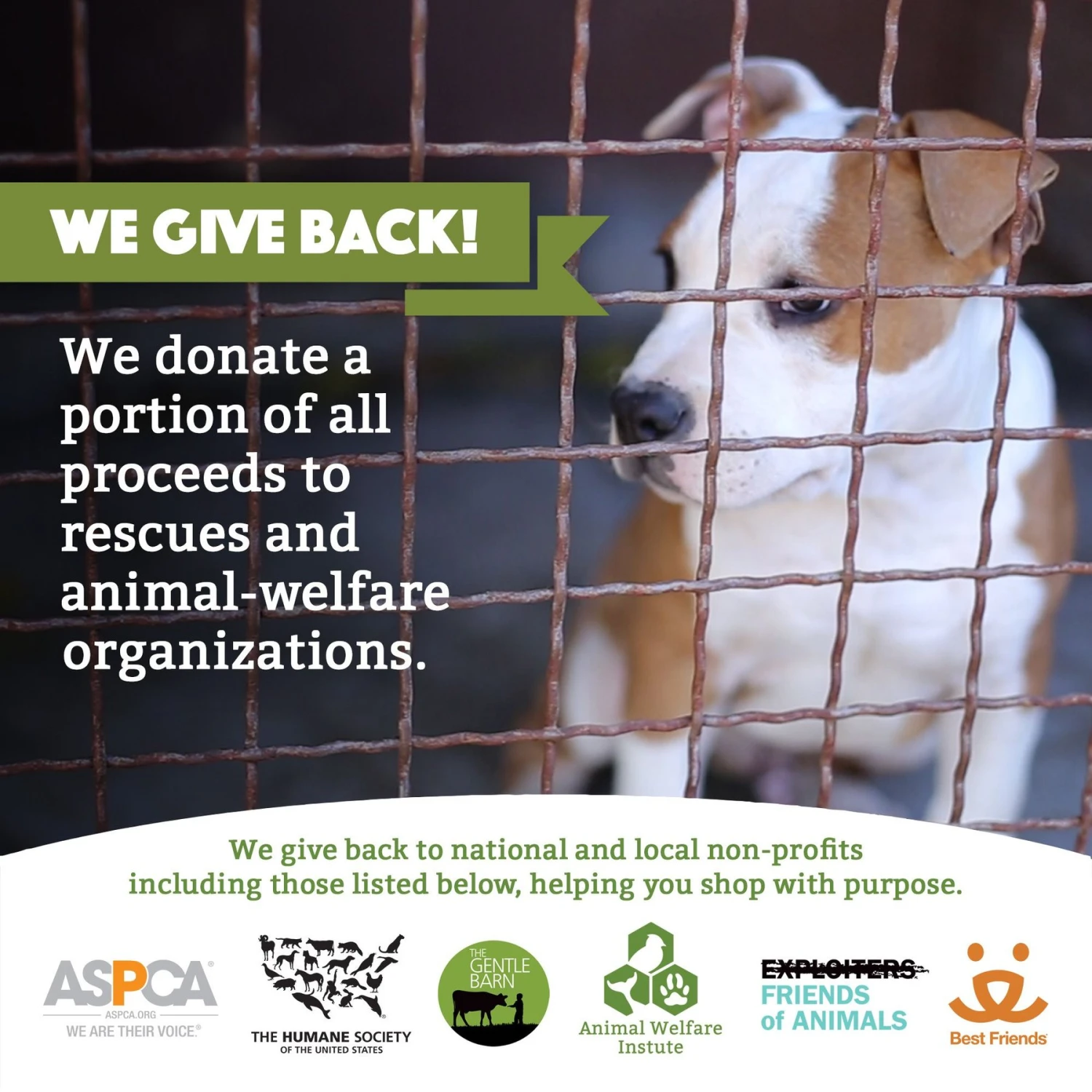 Doggy Do Good Certified Home Compostable Premium Dog & Cat Waste Bags, Small Handle Bags - On Rolls - Image 7