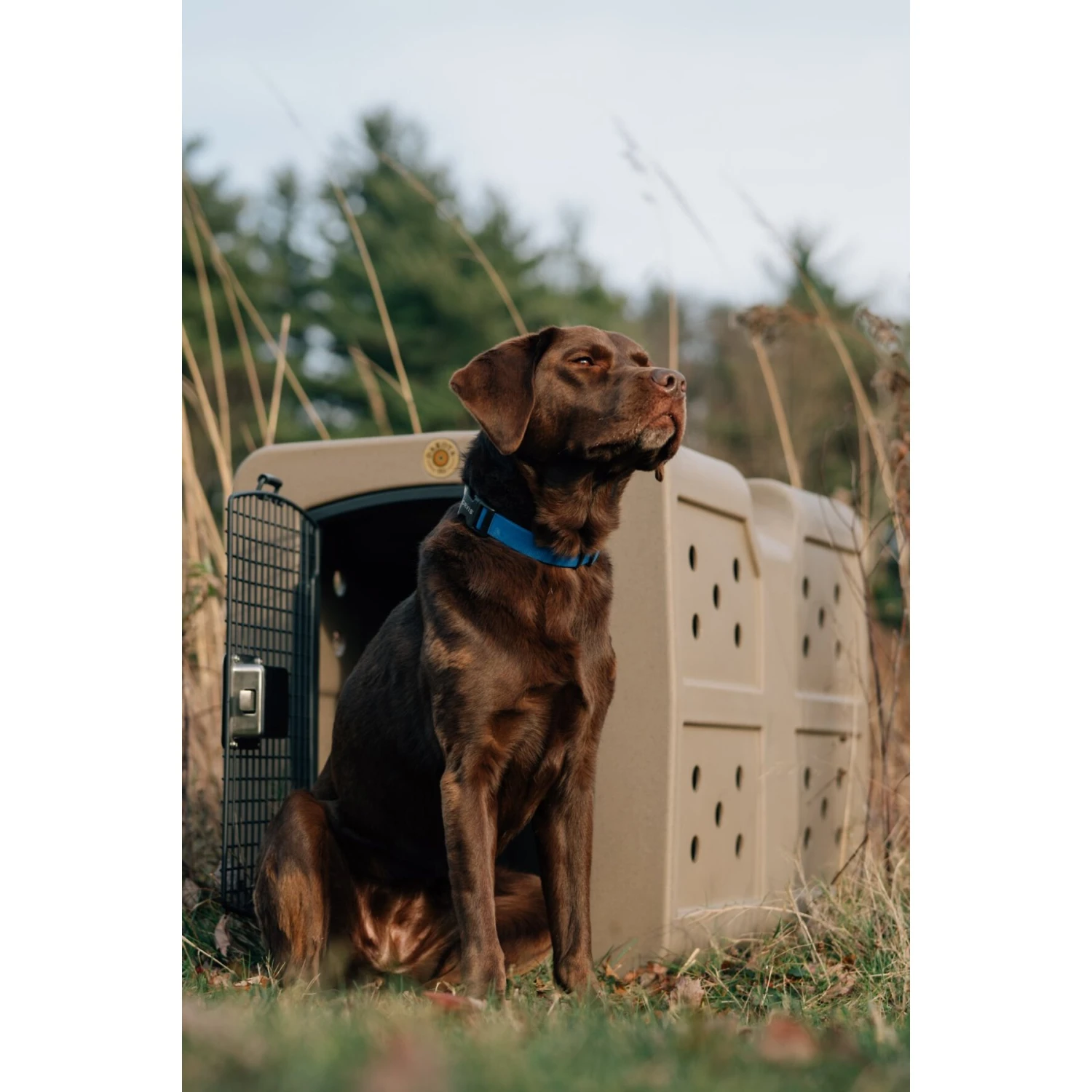 Dakota 283 G3 Framed Door Dog Kennel - Image 3