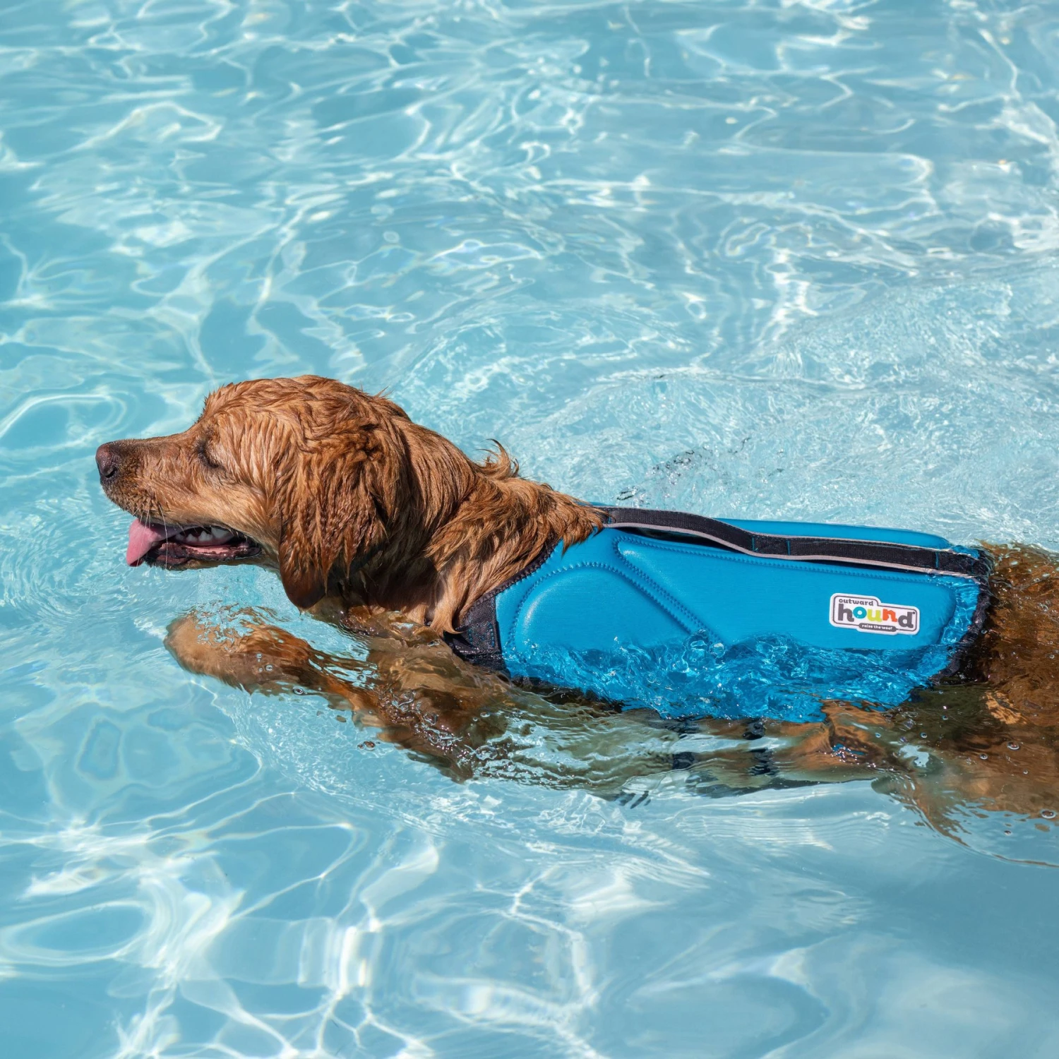 Outward Hound Dawson Swim Dog Life Jacket - Image 6