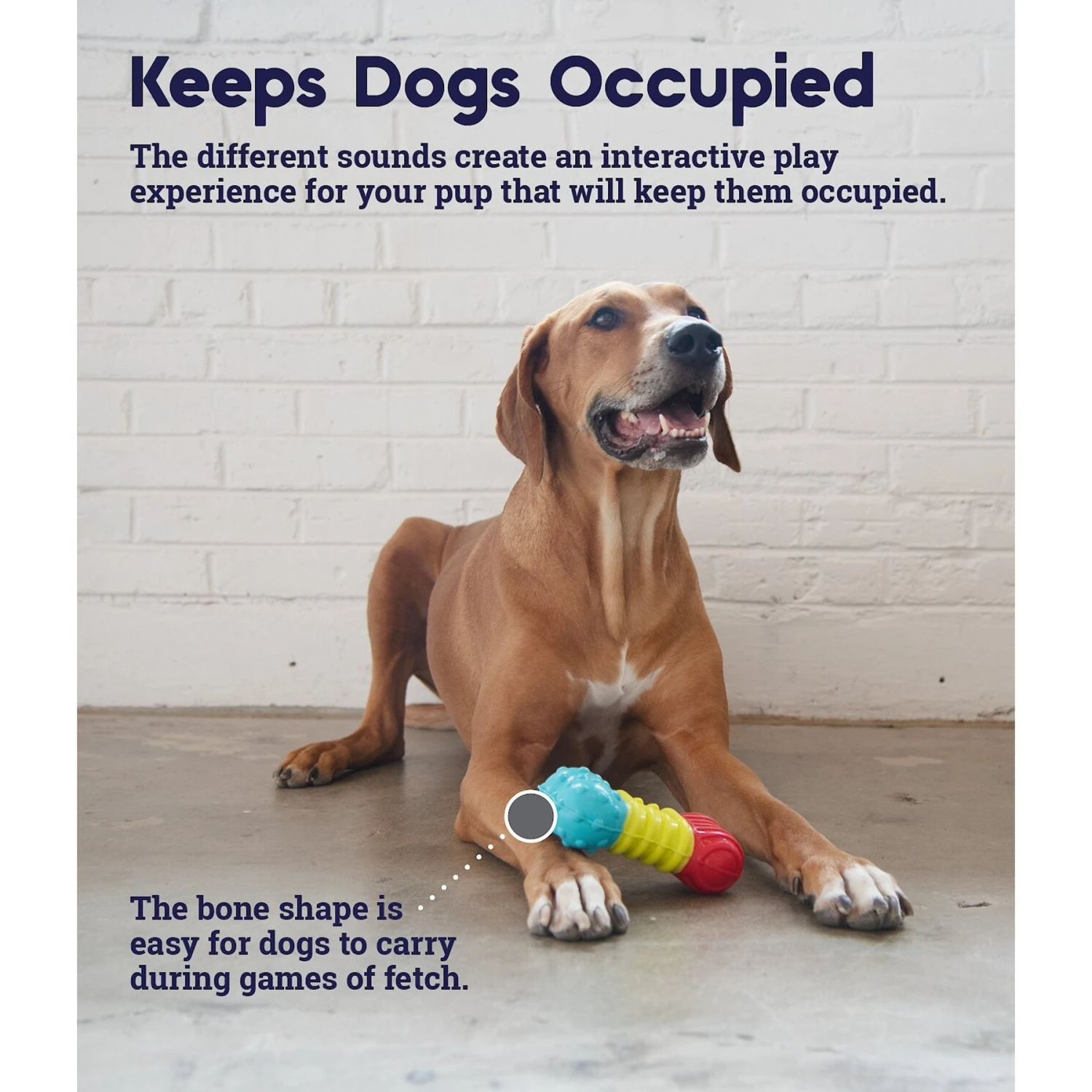 Petstages Multi-Squeak Bone Dog Chew Toy - Image 4