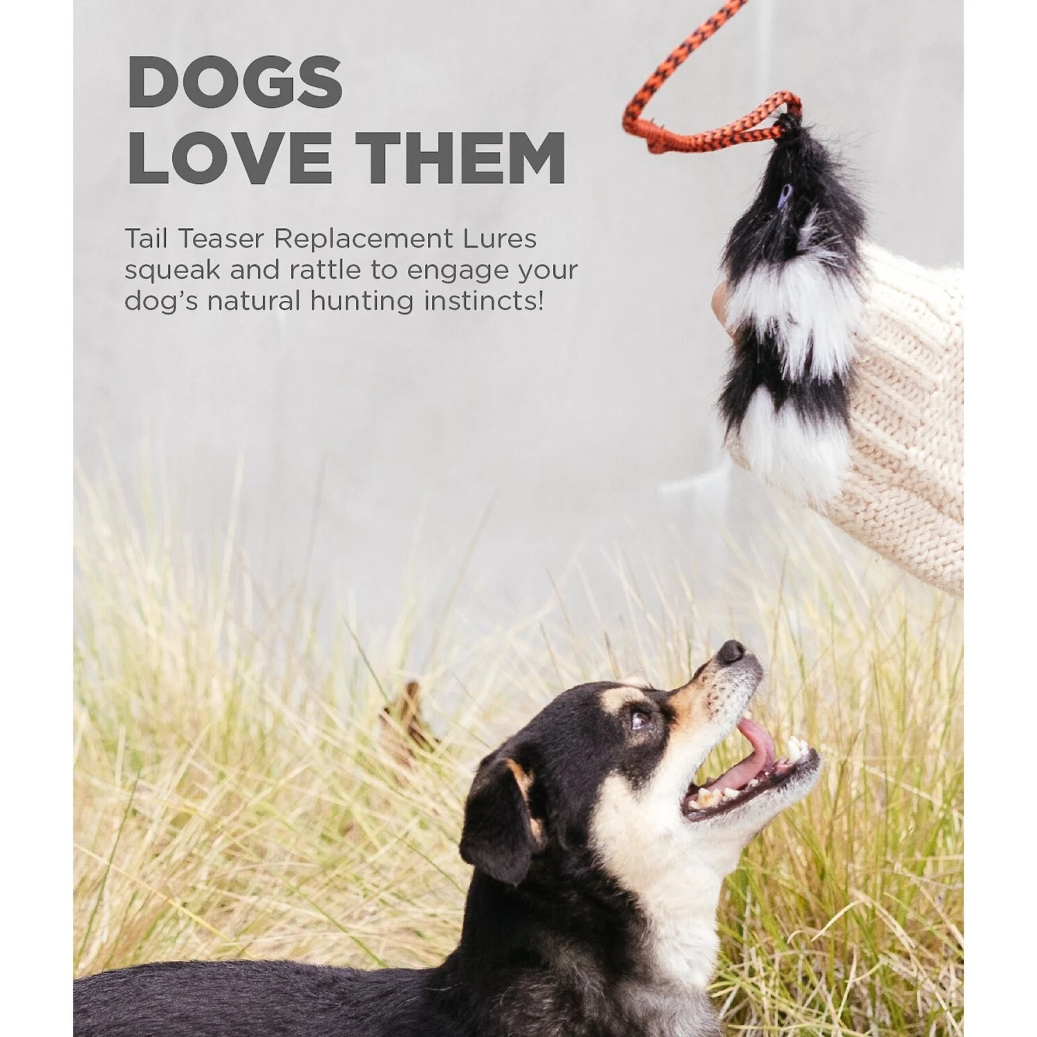 Outward Hound Fox Tail Teaser Wand Dog Toy Replacement Lure - Image 3