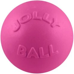 Jolly Pets Bounce-n-Play Dog Toy, Pink