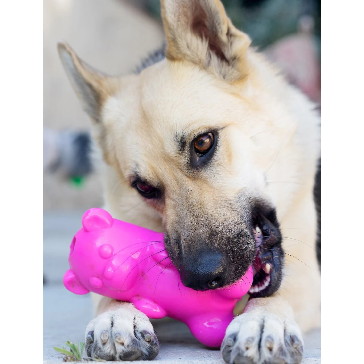 Ruff Dawg Gummy Bear Treat Dispenser Dog Toy, Color Varies - Image 5