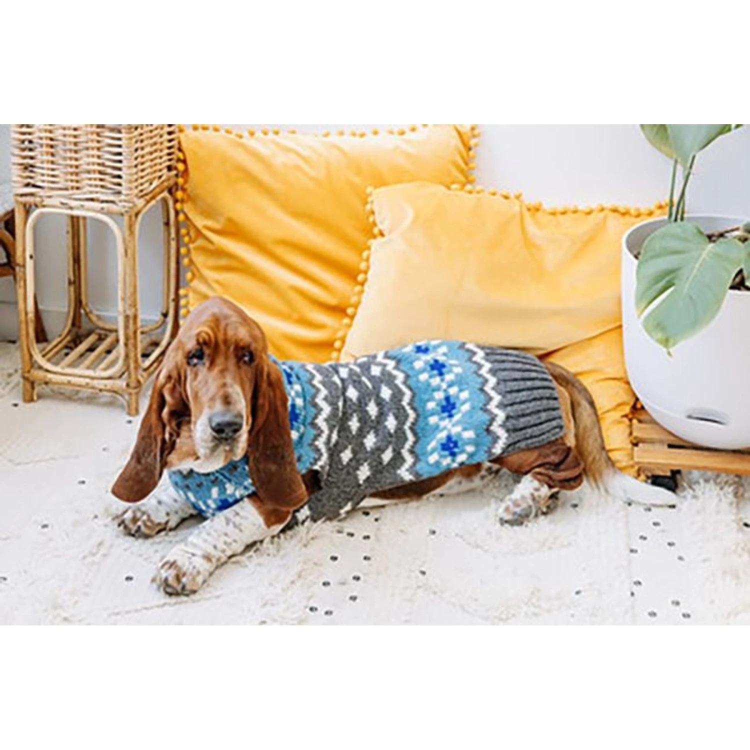 Chilly Dog Fairisle Wool Dog Sweater, Blue - Image 5