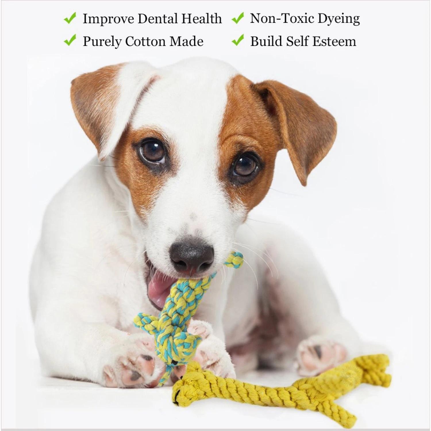 SunGrow Aggressive Chewers Small Dog & Cat Tug Of War Rope & Chase Teething Toys, 2 Count - Image 5