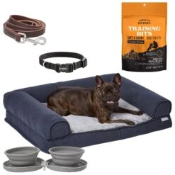 Frisco Top Grain Leather Leash + 4 Items