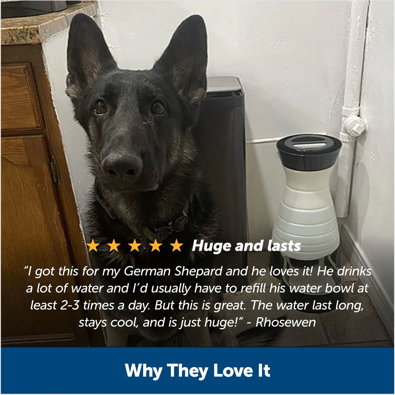 PetSafe Healthy Gravity Refill Dog & Cat Waterer - Image 6