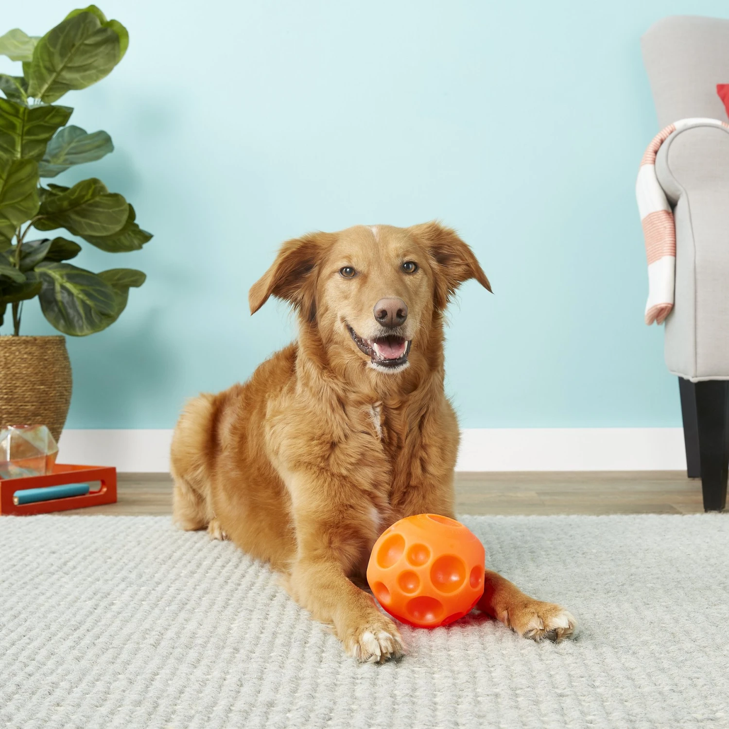 Omega Paw Tricky Treat Ball Dog Toy - Image 4