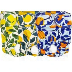 Pet Magasin Washable Female Dog Diapers, Botanical Fruit, 3 Count