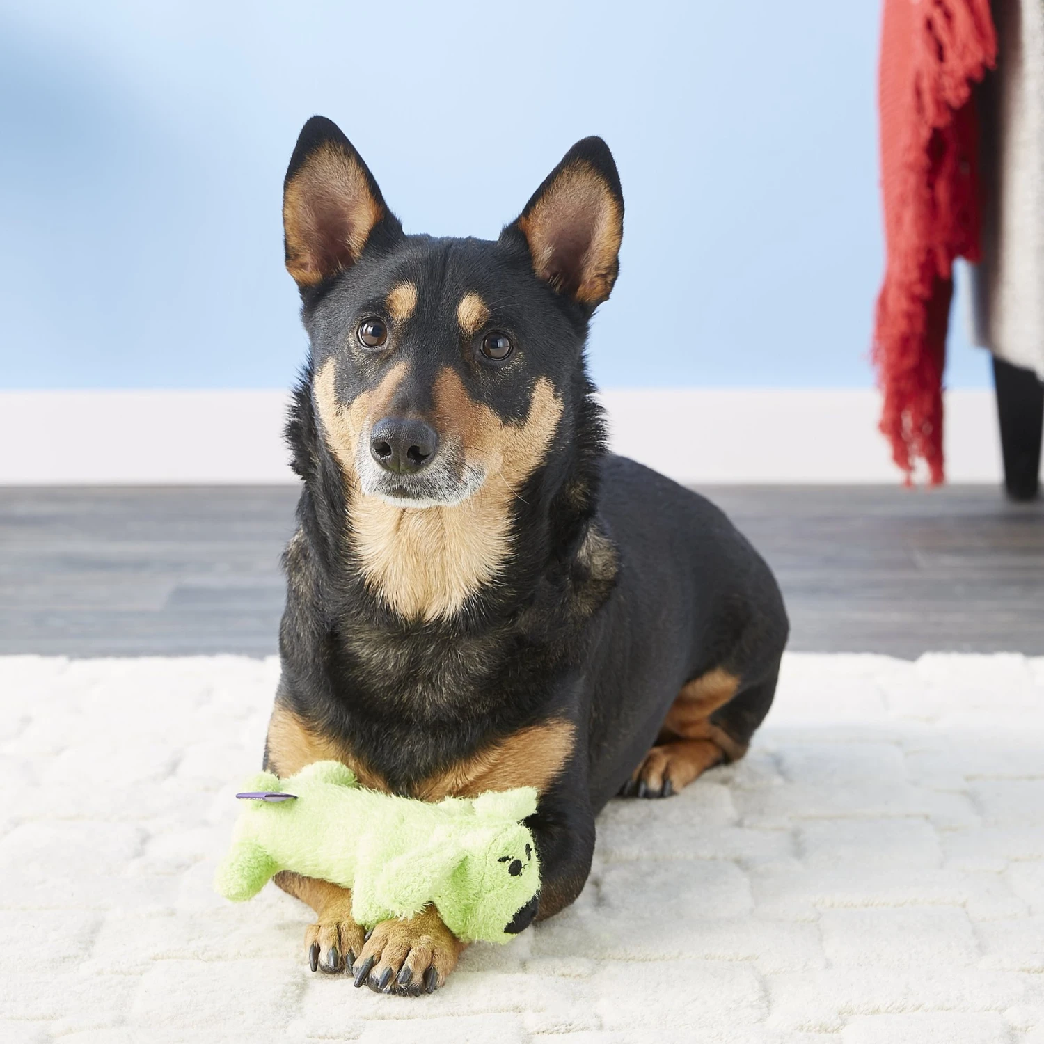 Multipet Loofa Dog The Original Squeaky Plush Dog Toy, Color Varies - Image 3