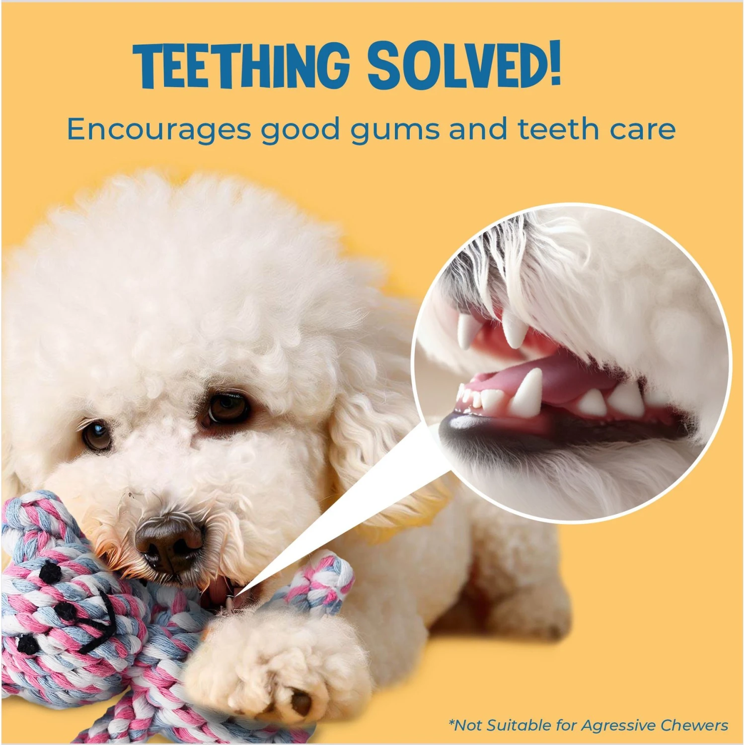 SunGrow Teddy Bear Dog & Small Pet Dental Chews Toy, 5-in - Image 4