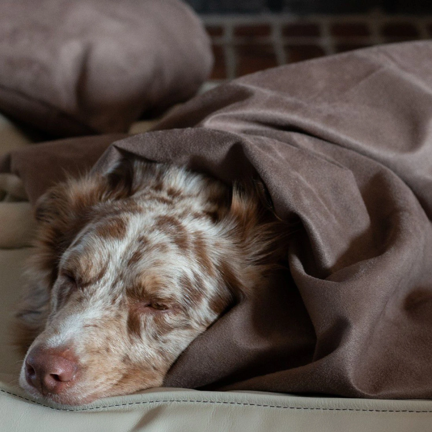 BuddyRest Soothe Weighted Dog Blanket - Image 5