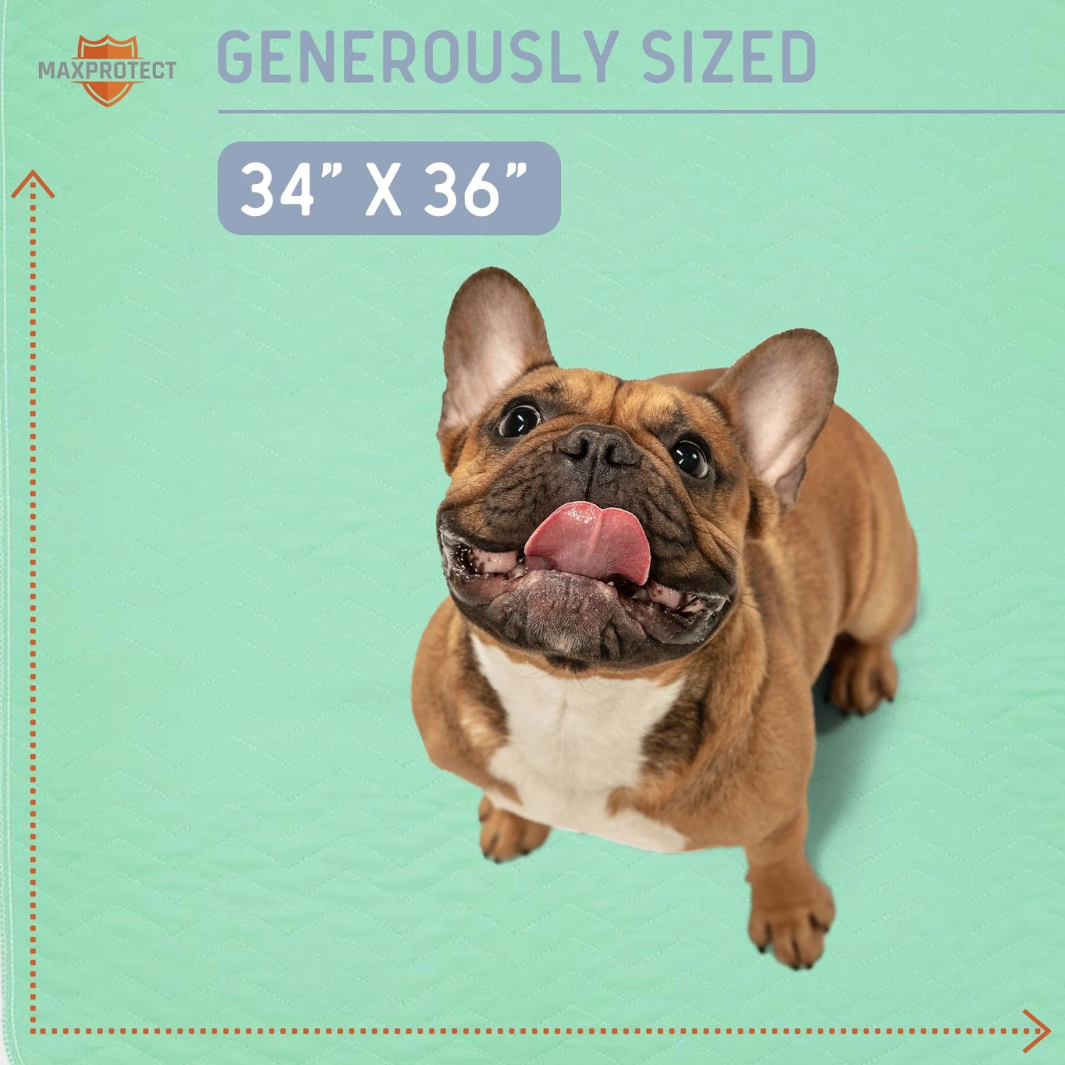 Chew + Heal Max Protect Quick-Dry Reusable Dog Pee Pads, 34-in - Image 4