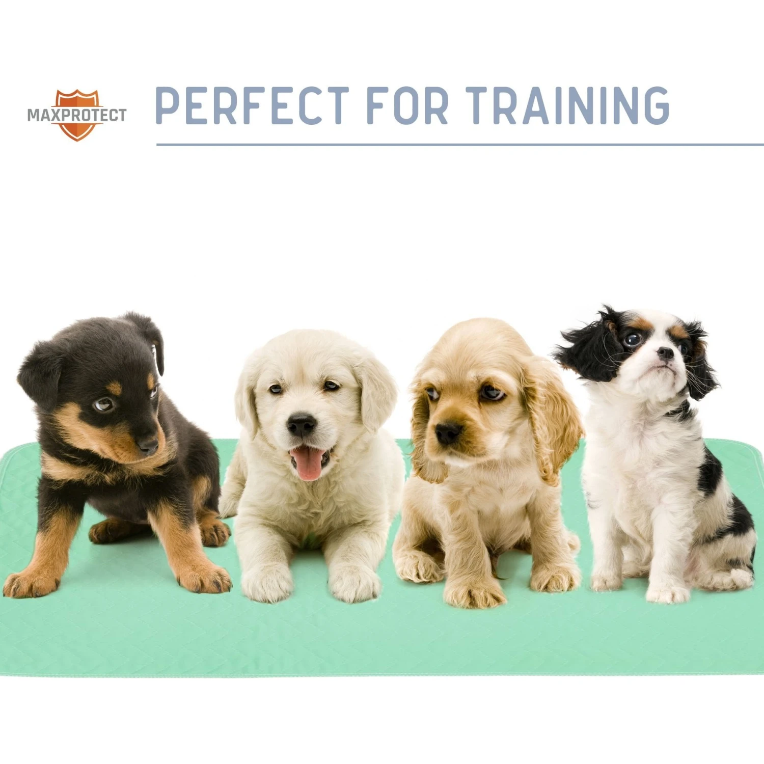 Chew + Heal Max Protect Quick-Dry Reusable Dog Pee Pads, 34-in - Image 8